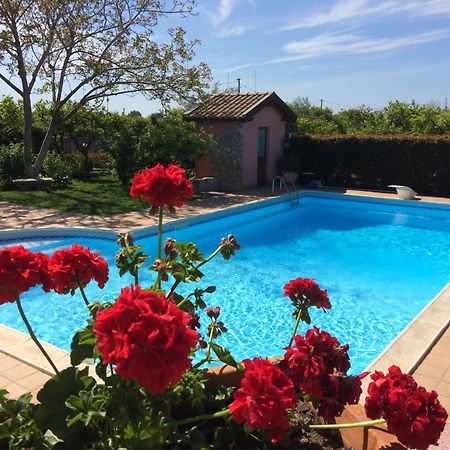 Il Giardino Segreto Bed & Breakfast Trappitello Bagian luar foto