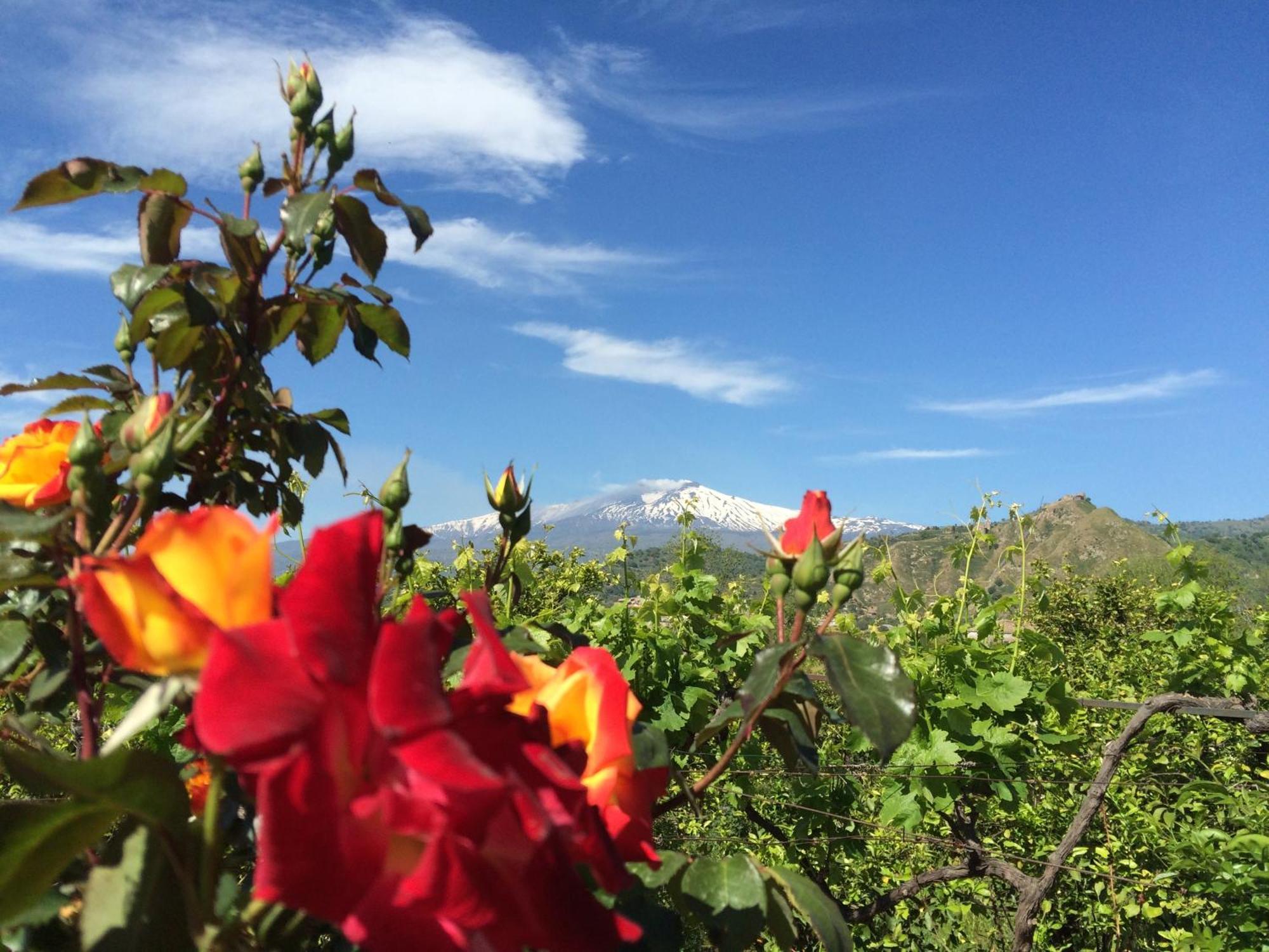 Il Giardino Segreto Bed & Breakfast Trappitello Ruang foto