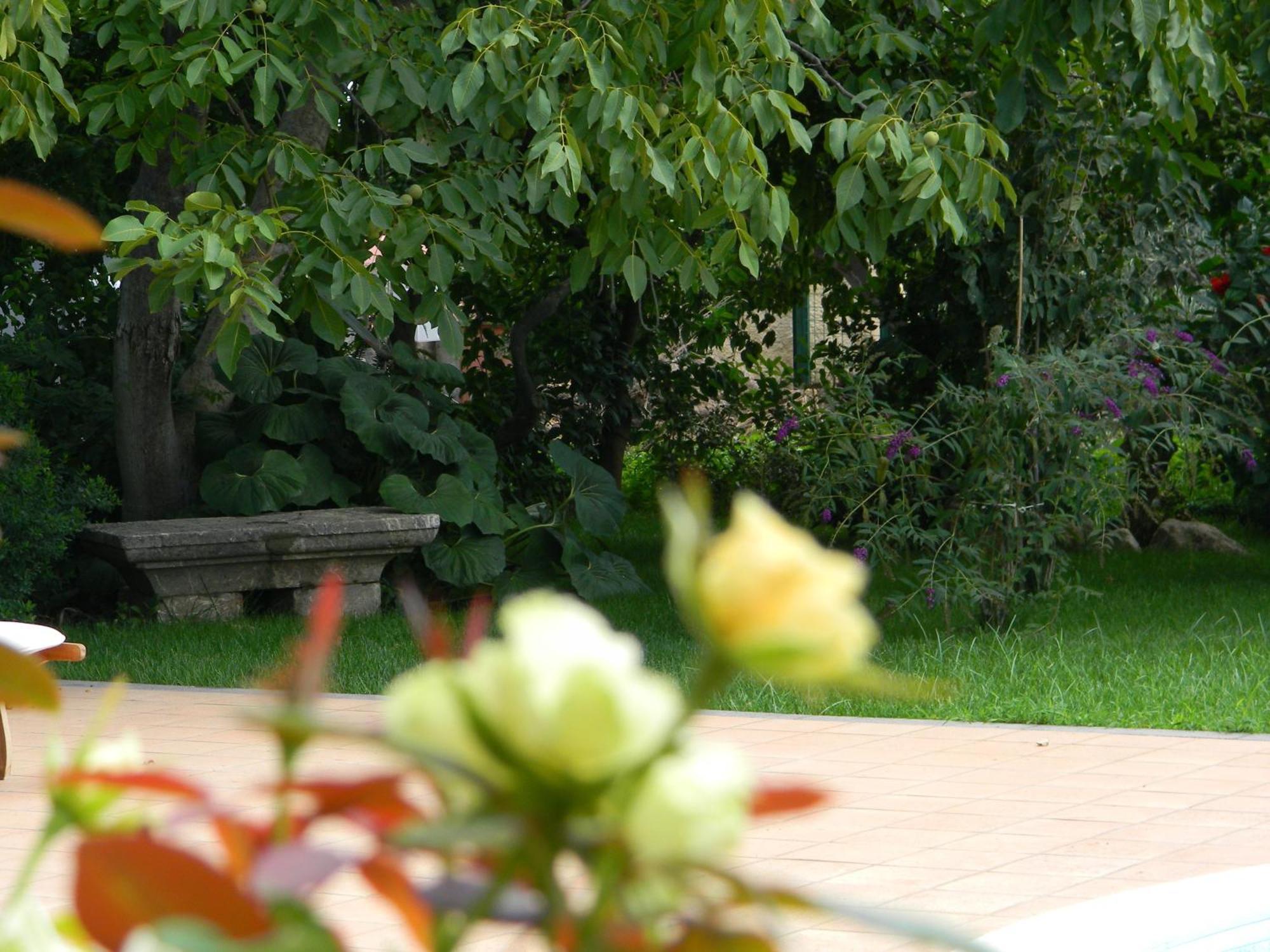 Il Giardino Segreto Bed & Breakfast Trappitello Bagian luar foto