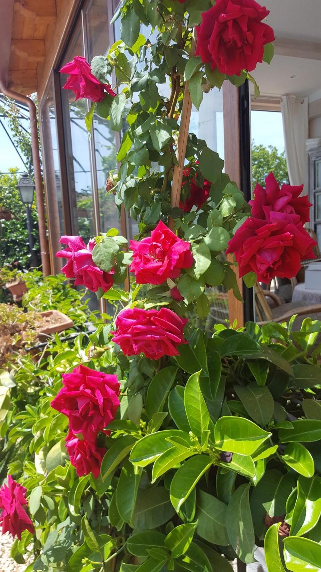 Il Giardino Segreto Bed & Breakfast Trappitello Bagian luar foto